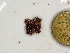  ( - GWS048039)  @11 [ ] Unspecified (default): All Rights Reserved  Unspecified Unspecified