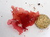  ( - GWS048079)  @11 [ ] Unspecified (default): All Rights Reserved  Unspecified Unspecified
