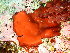  ( - GWS048190)  @11 [ ] Unspecified (default): All Rights Reserved  Unspecified Unspecified