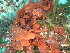  ( - GWS048192)  @11 [ ] Unspecified (default): All Rights Reserved  Unspecified Unspecified