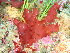  ( - GWS048202)  @11 [ ] Unspecified (default): All Rights Reserved  Unspecified Unspecified