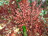  ( - GWS048204)  @11 [ ] Unspecified (default): All Rights Reserved  Unspecified Unspecified