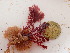  ( - GWS048241)  @11 [ ] Unspecified (default): All Rights Reserved  Unspecified Unspecified