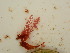  ( - GWS048262)  @11 [ ] Unspecified (default): All Rights Reserved  Unspecified Unspecified