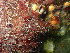  ( - GWS048305)  @11 [ ] Unspecified (default): All Rights Reserved  Unspecified Unspecified