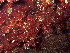  ( - GWS048310)  @11 [ ] Unspecified (default): All Rights Reserved  Unspecified Unspecified