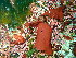  ( - GWS048311)  @11 [ ] Unspecified (default): All Rights Reserved  Unspecified Unspecified