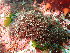  ( - GWS048312)  @11 [ ] Unspecified (default): All Rights Reserved  Unspecified Unspecified
