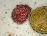  ( - GWS048401)  @11 [ ] Unspecified (default): All Rights Reserved  Unspecified Unspecified