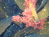  ( - GWS048419)  @11 [ ] Unspecified (default): All Rights Reserved  Unspecified Unspecified
