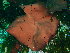  ( - GWS048423)  @11 [ ] Unspecified (default): All Rights Reserved  Unspecified Unspecified