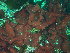  ( - GWS048427)  @11 [ ] Unspecified (default): All Rights Reserved  Unspecified Unspecified