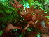  ( - GWS048433)  @11 [ ] Unspecified (default): All Rights Reserved  Unspecified Unspecified