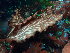  ( - GWS048438)  @11 [ ] Unspecified (default): All Rights Reserved  Unspecified Unspecified