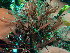  ( - GWS048440)  @11 [ ] Unspecified (default): All Rights Reserved  Unspecified Unspecified