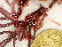  ( - GWS048448)  @11 [ ] Unspecified (default): All Rights Reserved  Unspecified Unspecified