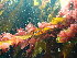  ( - GWS048478)  @11 [ ] Unspecified (default): All Rights Reserved  Unspecified Unspecified