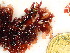  ( - GWS048517)  @11 [ ] Unspecified (default): All Rights Reserved  Unspecified Unspecified