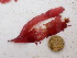  ( - GWS048550)  @11 [ ] Unspecified (default): All Rights Reserved  Unspecified Unspecified