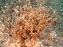  ( - GWS048710)  @11 [ ] Unspecified (default): All Rights Reserved  Unspecified Unspecified