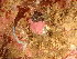  ( - GWS048715)  @11 [ ] Unspecified (default): All Rights Reserved  Unspecified Unspecified