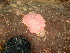  ( - GWS048720)  @11 [ ] Unspecified (default): All Rights Reserved  Unspecified Unspecified