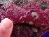  ( - GWS048750)  @11 [ ] Unspecified (default): All Rights Reserved  Unspecified Unspecified