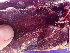  ( - GWS048751)  @11 [ ] Unspecified (default): All Rights Reserved  Unspecified Unspecified