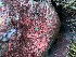  ( - GWS048780)  @11 [ ] Unspecified (default): All Rights Reserved  Unspecified Unspecified