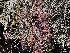  ( - GWS048783)  @11 [ ] Unspecified (default): All Rights Reserved  Unspecified Unspecified