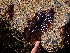  ( - GWS048804)  @11 [ ] Unspecified (default): All Rights Reserved  Unspecified Unspecified