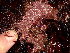  ( - GWS048830)  @11 [ ] Unspecified (default): All Rights Reserved  Unspecified Unspecified