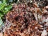  ( - GWS048912)  @11 [ ] Unspecified (default): All Rights Reserved  Unspecified Unspecified