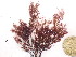  ( - GWS048917)  @11 [ ] Unspecified (default): All Rights Reserved  Unspecified Unspecified
