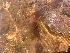  ( - GWS048928)  @11 [ ] Unspecified (default): All Rights Reserved  Unspecified Unspecified