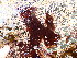  ( - GWS049139)  @11 [ ] Unspecified (default): All Rights Reserved  Unspecified Unspecified