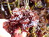  ( - GWS049147)  @11 [ ] Unspecified (default): All Rights Reserved  Unspecified Unspecified