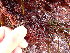 ( - GWS049192)  @11 [ ] Unspecified (default): All Rights Reserved  Unspecified Unspecified