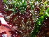  ( - GWS049273)  @11 [ ] Unspecified (default): All Rights Reserved  Unspecified Unspecified