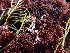  ( - GWS049298)  @11 [ ] Unspecified (default): All Rights Reserved  Unspecified Unspecified