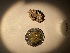  ( - GWS049775)  @11 [ ] Unspecified (default): All Rights Reserved  Unspecified Unspecified