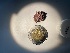  ( - GWS049821)  @11 [ ] Unspecified (default): All Rights Reserved  Unspecified Unspecified