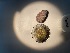  ( - GWS049890)  @11 [ ] Unspecified (default): All Rights Reserved  Unspecified Unspecified