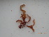  ( - KAM0041)  @11 [ ] Unspecified (default): All Rights Reserved  Unspecified Unspecified