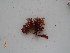  ( - KAM0081)  @11 [ ] Unspecified (default): All Rights Reserved  Unspecified Unspecified