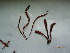  ( - KAM0115)  @11 [ ] Unspecified (default): All Rights Reserved  Unspecified Unspecified