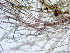  ( - SAG2357)  @11 [ ] CreativeCommons - Attribution Non-Commercial Share-Alike (2016) University of New Brunswick Fredericton University of New Brunswick Fredericton