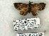  ( - 1018-240703-AZ)  @13 [ ] Copyright (2008) Unspecified Research Collection of Robert J. Borth