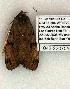 ( - 1042-220705-CA)  @12 [ ] Copyright (2008) Unspecified Research Collection of Robert J. Borth