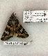  ( - 1051-010703-UT)  @12 [ ] Copyright (2008) Unspecified Research Collection of Robert J. Borth